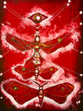 La suma sacerdotiza